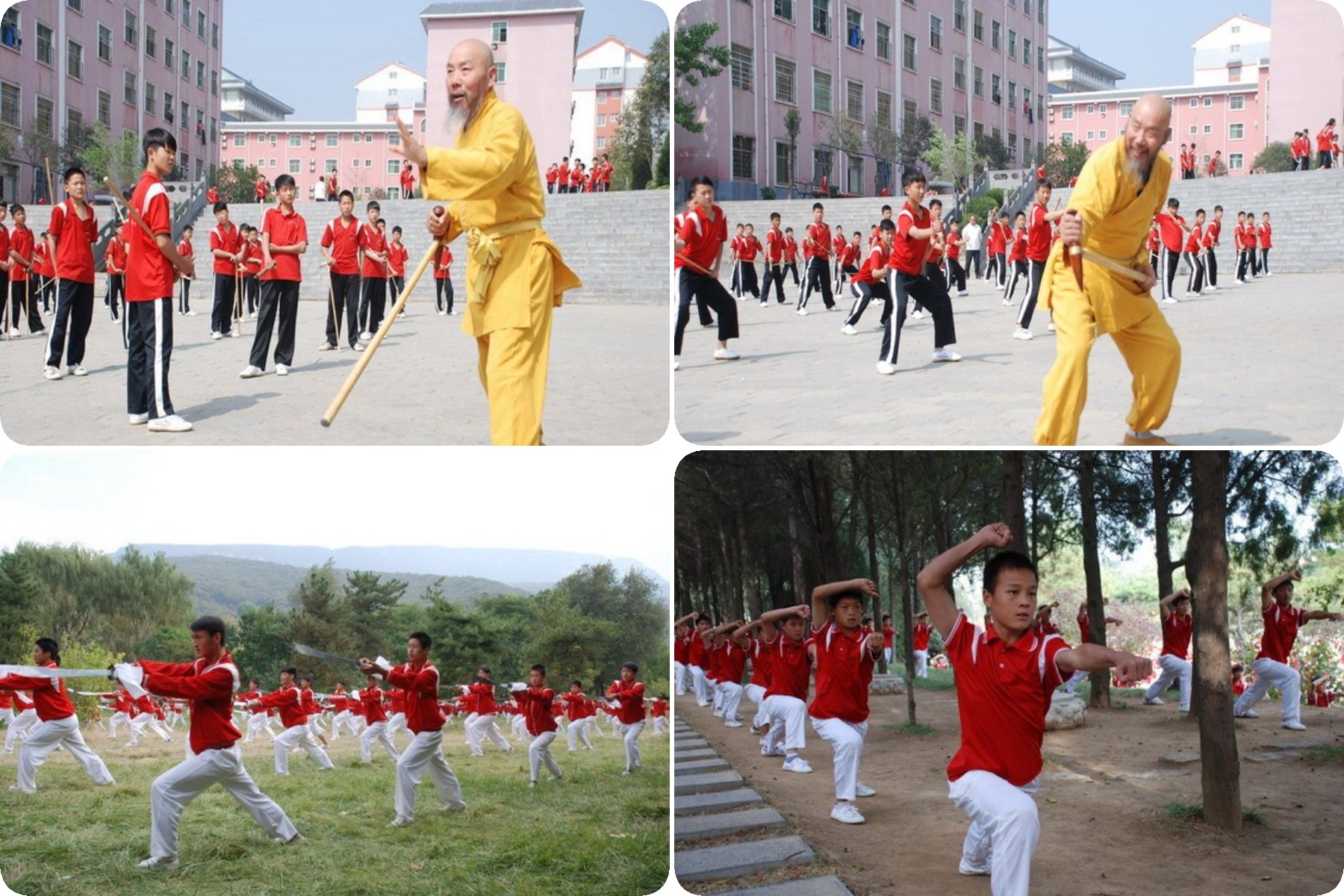 去少林學(xué)武術(shù)一年要用多少錢