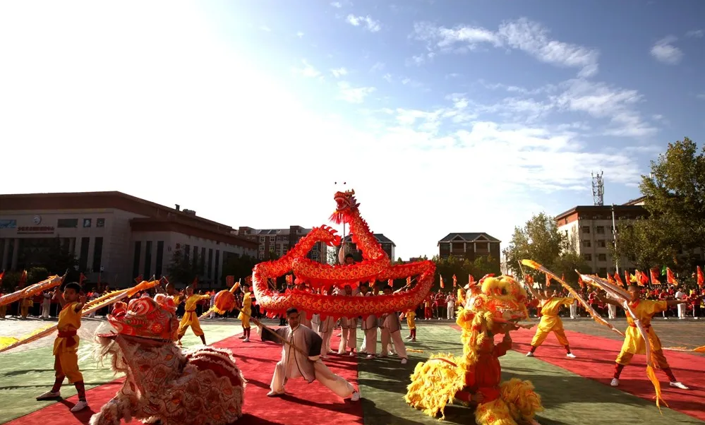 河南武術(shù)學(xué)校?地址在哪里?