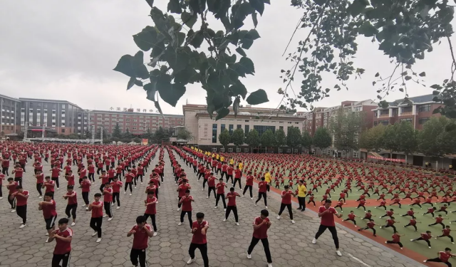 河南哪所武術(shù)學(xué)校有女子武術(shù)班？女孩子學(xué)武術(shù)實(shí)用嗎？