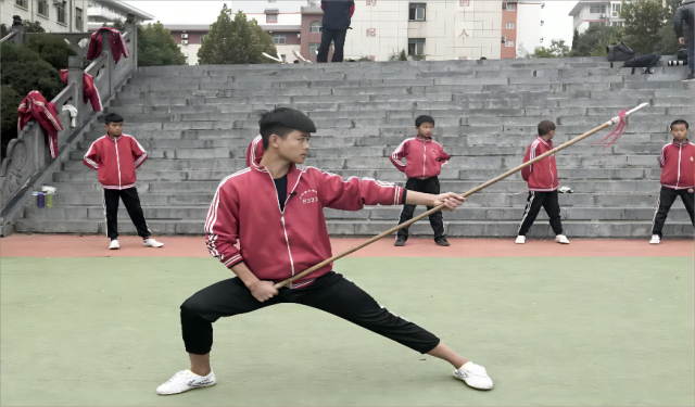 河南文武學(xué)?？梢詮?qiáng)制送進(jìn)去嗎？