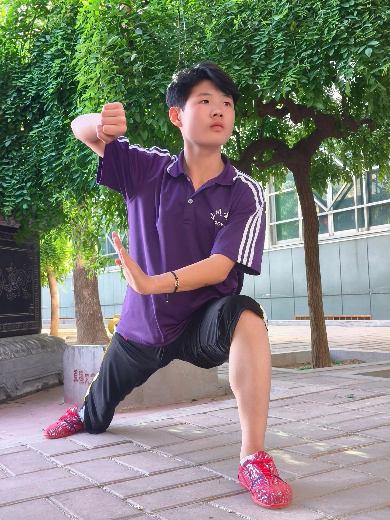 燕趙少年張耀天少林小龍武校的“變形記”
