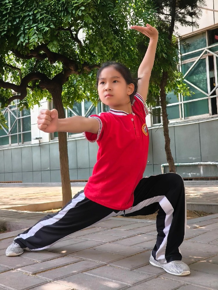 河南少林小龍武校