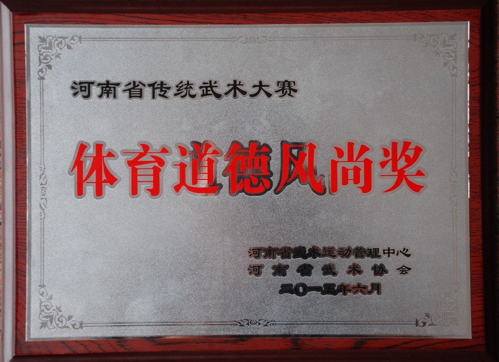 少林小龍武院套路代表隊(duì)在2015年河南省傳統(tǒng)武術(shù)大賽上載譽(yù)凱旋
