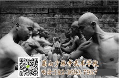 置身少林文武學(xué)校，體驗(yàn)少林武術(shù)精神！