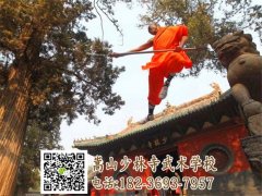 小龍武校年齡不同收費(fèi)標(biāo)準(zhǔn)不一樣嗎？