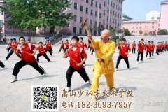 嵩山少林文武學(xué)校是怎么收費的？