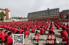 嵩山少林武校能培養(yǎng)孩子的學(xué)習(xí)興趣嗎？