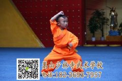 少林小龍武校幼兒班每年學(xué)費是多少？