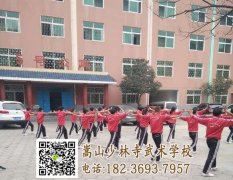 嵩山登封武校畢業(yè)可以做那些工作？