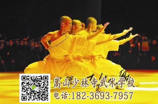 少林武術(shù)學校