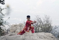河南少林武校：武術(shù)，堅(jiān)持下去，終有收獲!