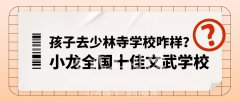 孩子去少林學(xué)校咋樣?「正宗少林功夫」